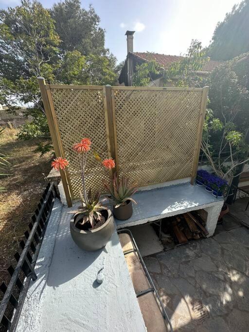فيلا Caja De Anthea أرتيميدا المظهر الخارجي الصورة